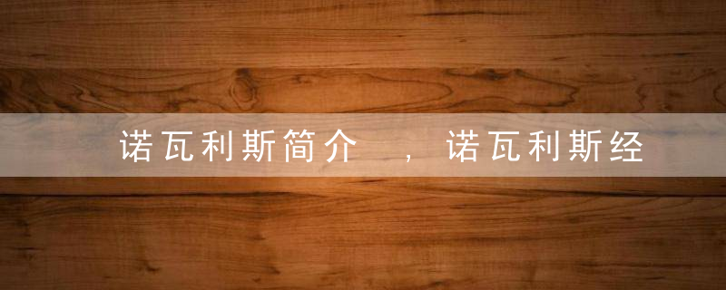 诺瓦利斯简介 ,诺瓦利斯经典名言
